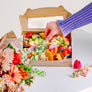 PALETTE Graze Box