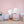 wild valentine flower shop vases