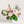 Extra Large Arrangement